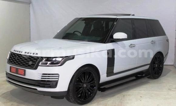 Buy Used Land Rover Range Rover White Car in Beitbridge in Matabeleland South Buy Used Land Rover Range Rover White Car in Beitbridge in Matabeleland South