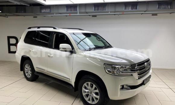 Buy Used Toyota Land Cruiser White Car in Beitbridge in Matabeleland South Buy Used Toyota Land Cruiser White Car in Beitbridge in Matabeleland South