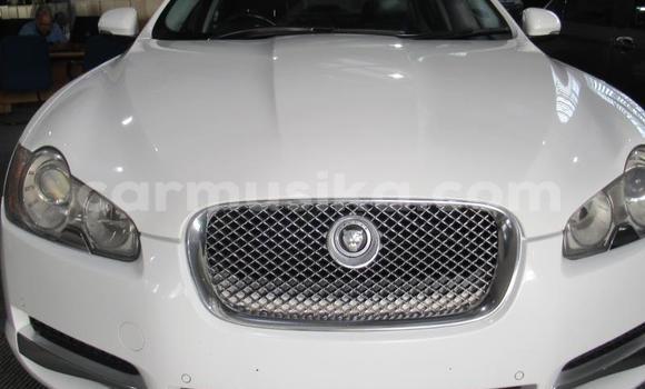 Acheter Occasion Voiture Jaguar XF Blanc à Beitbridge, Matabeleland South