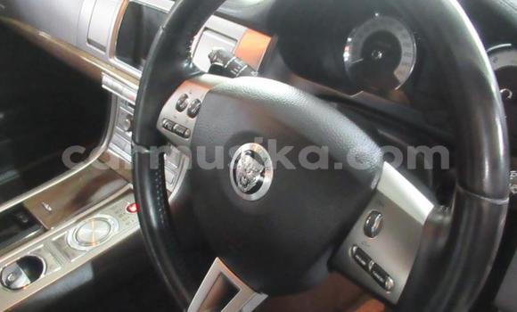 Acheter Occasion Voiture Jaguar XF Blanc à Beitbridge, Matabeleland South Acheter Occasion Voiture Jaguar XF Blanc à Beitbridge, Matabeleland South