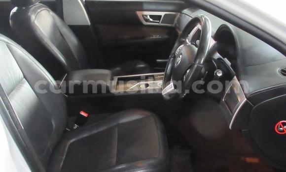 Acheter Occasion Voiture Jaguar XF Blanc à Beitbridge, Matabeleland South Acheter Occasion Voiture Jaguar XF Blanc à Beitbridge, Matabeleland South