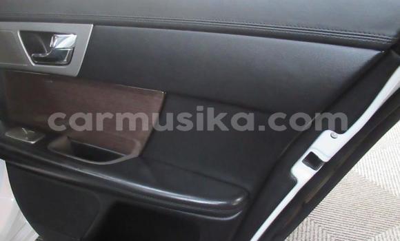 Acheter Occasion Voiture Jaguar XF Blanc à Beitbridge, Matabeleland South Acheter Occasion Voiture Jaguar XF Blanc à Beitbridge, Matabeleland South