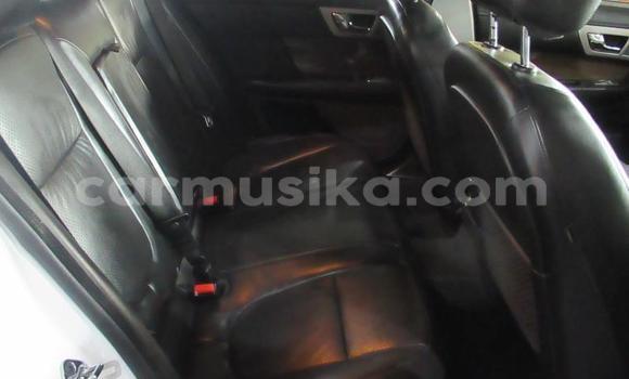 Acheter Occasion Voiture Jaguar XF Blanc à Beitbridge, Matabeleland South Acheter Occasion Voiture Jaguar XF Blanc à Beitbridge, Matabeleland South