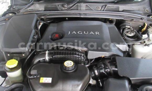 Acheter Occasion Voiture Jaguar XF Blanc à Beitbridge, Matabeleland South Acheter Occasion Voiture Jaguar XF Blanc à Beitbridge, Matabeleland South