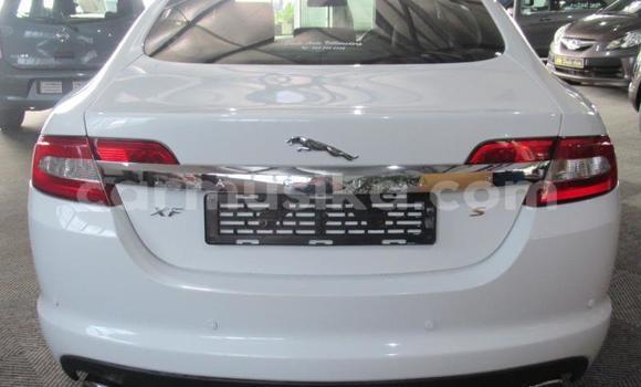 Acheter Occasion Voiture Jaguar XF Blanc à Beitbridge, Matabeleland South Acheter Occasion Voiture Jaguar XF Blanc à Beitbridge, Matabeleland South