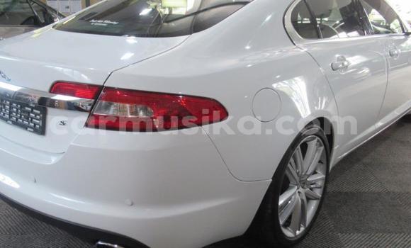Acheter Occasion Voiture Jaguar XF Blanc à Beitbridge, Matabeleland South Acheter Occasion Voiture Jaguar XF Blanc à Beitbridge, Matabeleland South
