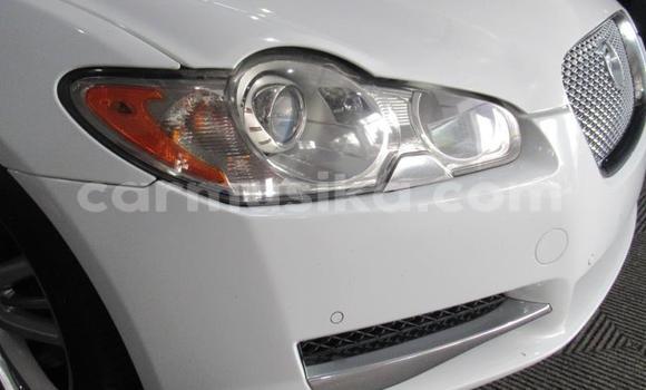 Acheter Occasion Voiture Jaguar XF Blanc à Beitbridge, Matabeleland South Acheter Occasion Voiture Jaguar XF Blanc à Beitbridge, Matabeleland South