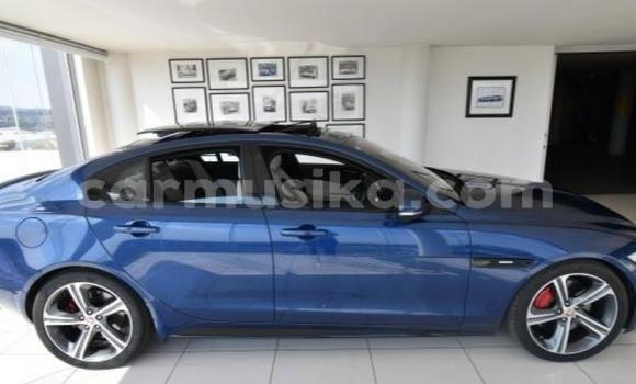Acheter Occasion Voiture Jaguar XE Bleu à Beitbridge, Matabeleland South Acheter Occasion Voiture Jaguar XE Bleu à Beitbridge, Matabeleland South