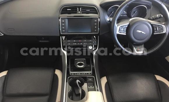 Acheter Occasion Voiture Jaguar XE Bleu à Beitbridge, Matabeleland South Acheter Occasion Voiture Jaguar XE Bleu à Beitbridge, Matabeleland South