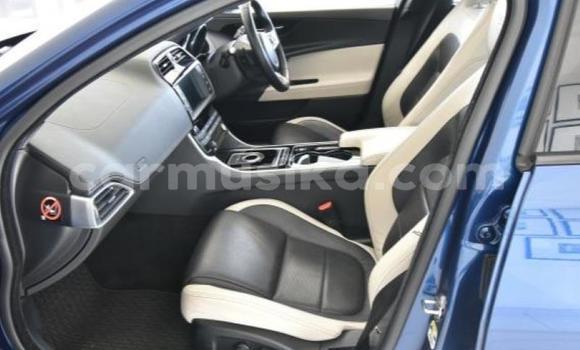 Acheter Occasion Voiture Jaguar XE Bleu à Beitbridge, Matabeleland South Acheter Occasion Voiture Jaguar XE Bleu à Beitbridge, Matabeleland South