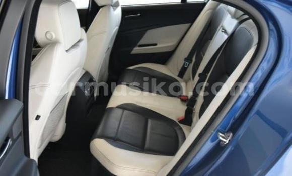 Acheter Occasion Voiture Jaguar XE Bleu à Beitbridge, Matabeleland South Acheter Occasion Voiture Jaguar XE Bleu à Beitbridge, Matabeleland South