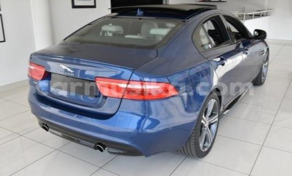 Acheter Occasion Voiture Jaguar XE Bleu à Beitbridge, Matabeleland South Acheter Occasion Voiture Jaguar XE Bleu à Beitbridge, Matabeleland South