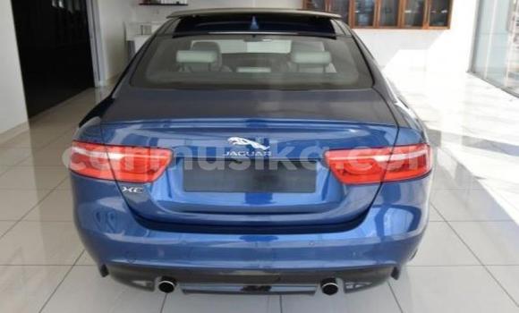 Acheter Occasion Voiture Jaguar XE Bleu à Beitbridge, Matabeleland South Acheter Occasion Voiture Jaguar XE Bleu à Beitbridge, Matabeleland South