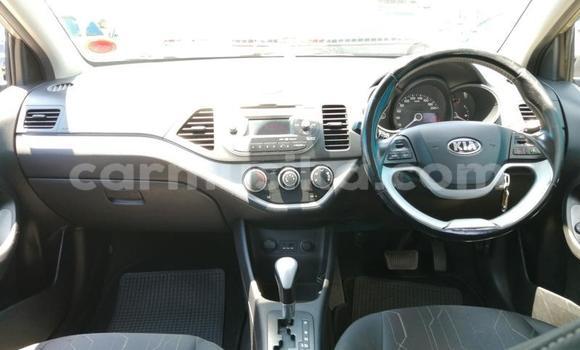 Buy Used Kia Picanto Silver Car in Beitbridge in Matabeleland South Buy Used Kia Picanto Silver Car in Beitbridge in Matabeleland South