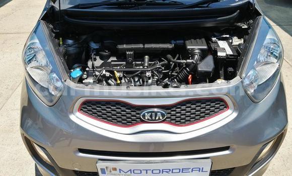 Buy Used Kia Picanto Silver Car in Beitbridge in Matabeleland South Buy Used Kia Picanto Silver Car in Beitbridge in Matabeleland South