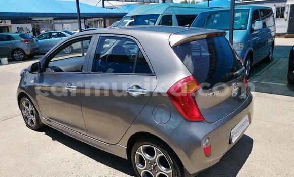 Buy Used Kia Picanto Silver Car in Beitbridge in Matabeleland South Buy Used Kia Picanto Silver Car in Beitbridge in Matabeleland South