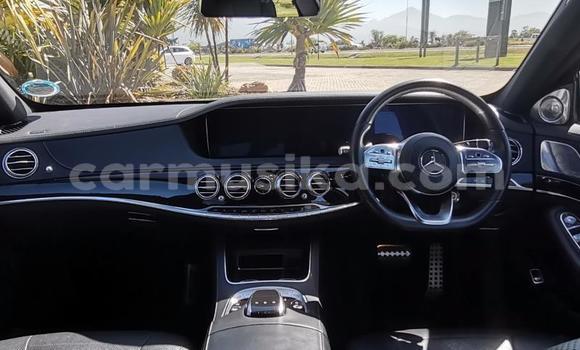 Nunua Ilio tumika Mercedes‒Benz S–Class Beige Gari ndani ya Beitbridge nchini Matabeleland Kusini Nunua Ilio tumika Mercedes‒Benz S–Class Beige Gari ndani ya Beitbridge nchini Matabeleland Kusini