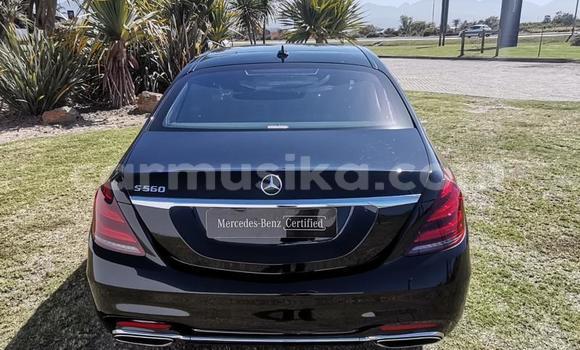 Nunua Ilio tumika Mercedes‒Benz S–Class Beige Gari ndani ya Beitbridge nchini Matabeleland Kusini Nunua Ilio tumika Mercedes‒Benz S–Class Beige Gari ndani ya Beitbridge nchini Matabeleland Kusini