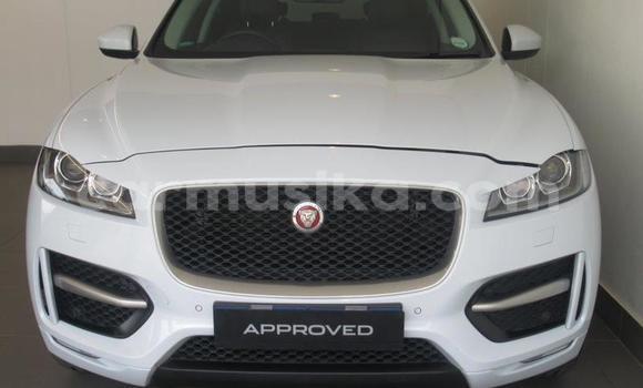 Nunua Ilio tumika Jaguar F-Pace Nyeupe Gari ndani ya Beitbridge nchini Matabeleland Kusini