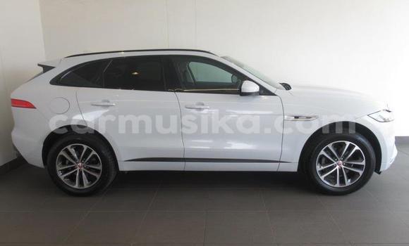 Acheter Occasion Voiture Jaguar F-Pace Blanc à Beitbridge, Matabeleland South Acheter Occasion Voiture Jaguar F-Pace Blanc à Beitbridge, Matabeleland South