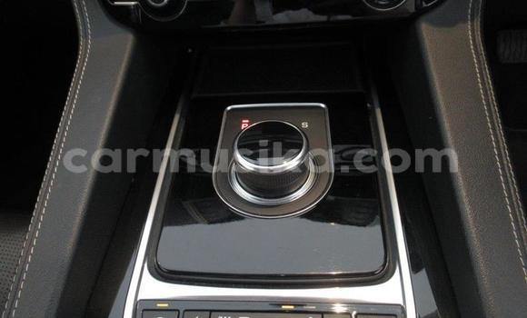 Acheter Occasion Voiture Jaguar F-Pace Blanc à Beitbridge, Matabeleland South Acheter Occasion Voiture Jaguar F-Pace Blanc à Beitbridge, Matabeleland South