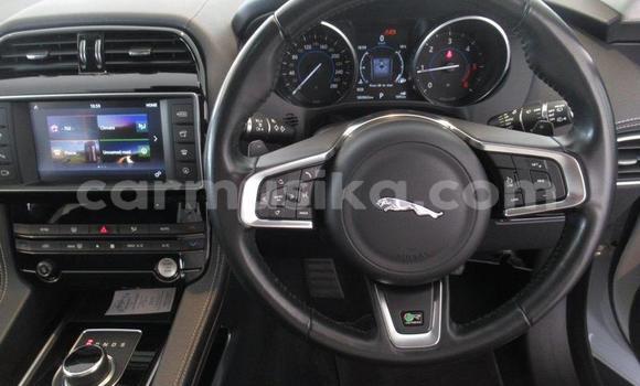 Acheter Occasion Voiture Jaguar F-Pace Blanc à Beitbridge, Matabeleland South Acheter Occasion Voiture Jaguar F-Pace Blanc à Beitbridge, Matabeleland South