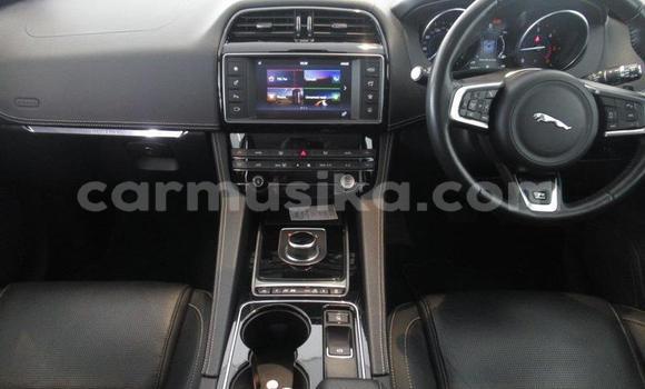 Acheter Occasion Voiture Jaguar F-Pace Blanc à Beitbridge, Matabeleland South Acheter Occasion Voiture Jaguar F-Pace Blanc à Beitbridge, Matabeleland South