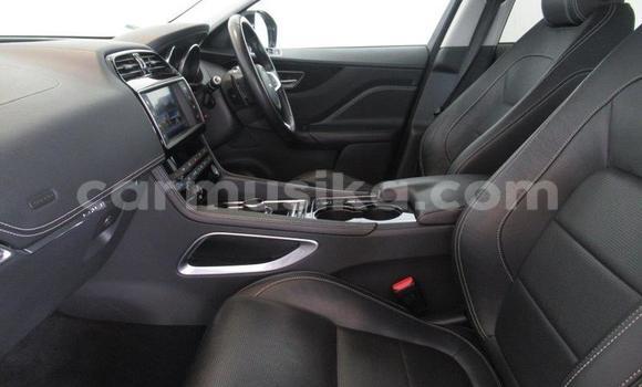 Acheter Occasion Voiture Jaguar F-Pace Blanc à Beitbridge, Matabeleland South Acheter Occasion Voiture Jaguar F-Pace Blanc à Beitbridge, Matabeleland South