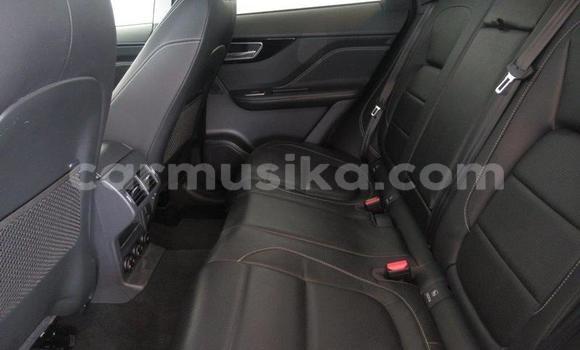 Acheter Occasion Voiture Jaguar F-Pace Blanc à Beitbridge, Matabeleland South Acheter Occasion Voiture Jaguar F-Pace Blanc à Beitbridge, Matabeleland South