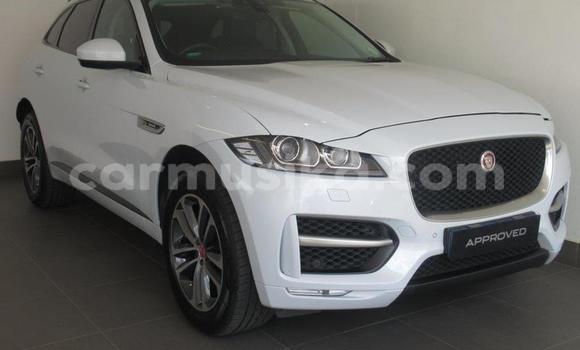 Acheter Occasion Voiture Jaguar F-Pace Blanc à Beitbridge, Matabeleland South Acheter Occasion Voiture Jaguar F-Pace Blanc à Beitbridge, Matabeleland South
