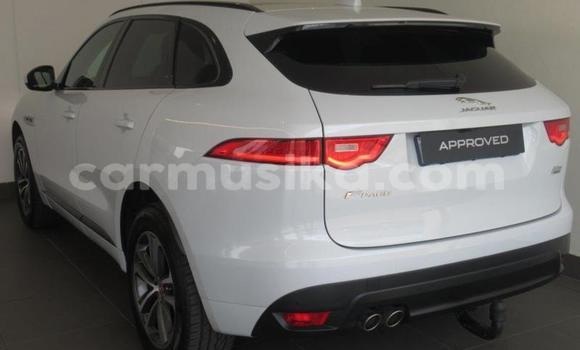 Acheter Occasion Voiture Jaguar F-Pace Blanc à Beitbridge, Matabeleland South Acheter Occasion Voiture Jaguar F-Pace Blanc à Beitbridge, Matabeleland South