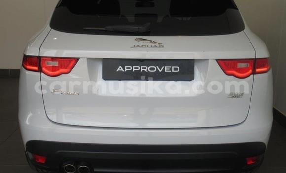 Acheter Occasion Voiture Jaguar F-Pace Blanc à Beitbridge, Matabeleland South Acheter Occasion Voiture Jaguar F-Pace Blanc à Beitbridge, Matabeleland South