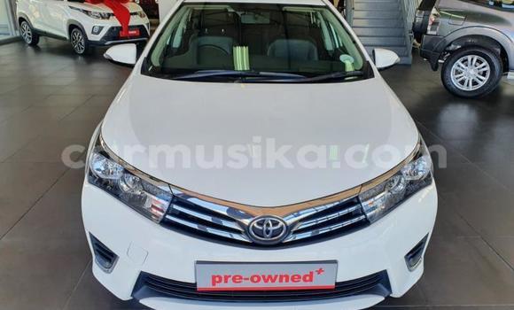 Nunua Ilio tumika Toyota Corolla Nyeupe Gari ndani ya Beitbridge nchini Matabeleland Kusini