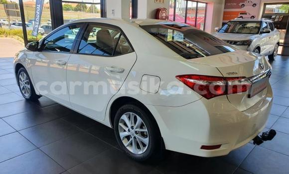 Acheter Occasion Voiture Toyota Corolla Blanc à Beitbridge, Matabeleland South Acheter Occasion Voiture Toyota Corolla Blanc à Beitbridge, Matabeleland South