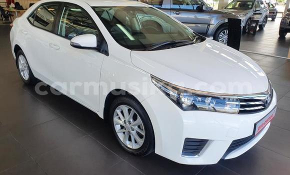 Acheter Occasion Voiture Toyota Corolla Blanc à Beitbridge, Matabeleland South Acheter Occasion Voiture Toyota Corolla Blanc à Beitbridge, Matabeleland South