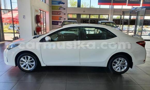 Acheter Occasion Voiture Toyota Corolla Blanc à Beitbridge, Matabeleland South Acheter Occasion Voiture Toyota Corolla Blanc à Beitbridge, Matabeleland South