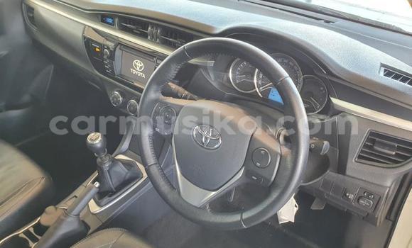 Acheter Occasion Voiture Toyota Corolla Blanc à Beitbridge, Matabeleland South Acheter Occasion Voiture Toyota Corolla Blanc à Beitbridge, Matabeleland South