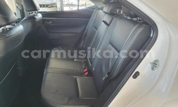 Acheter Occasion Voiture Toyota Corolla Blanc à Beitbridge, Matabeleland South Acheter Occasion Voiture Toyota Corolla Blanc à Beitbridge, Matabeleland South