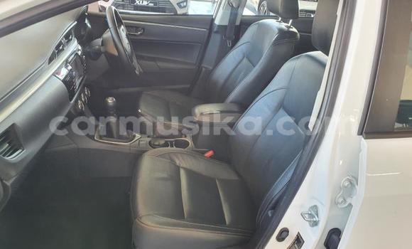 Acheter Occasion Voiture Toyota Corolla Blanc à Beitbridge, Matabeleland South Acheter Occasion Voiture Toyota Corolla Blanc à Beitbridge, Matabeleland South