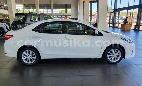 Acheter Occasion Voiture Toyota Corolla Blanc à Beitbridge, Matabeleland South Acheter Occasion Voiture Toyota Corolla Blanc à Beitbridge, Matabeleland South