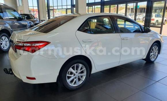 Acheter Occasion Voiture Toyota Corolla Blanc à Beitbridge, Matabeleland South Acheter Occasion Voiture Toyota Corolla Blanc à Beitbridge, Matabeleland South