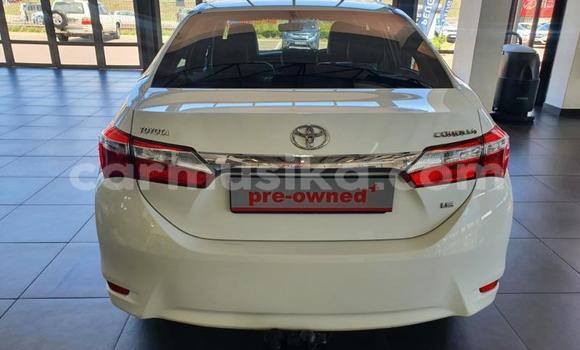 Acheter Occasion Voiture Toyota Corolla Blanc à Beitbridge, Matabeleland South Acheter Occasion Voiture Toyota Corolla Blanc à Beitbridge, Matabeleland South