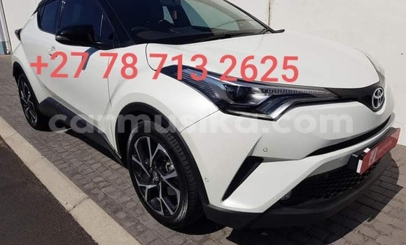Tenga Tsaru Toyota RAV4 Chena Mota in Beitbridge in Matabeleland South