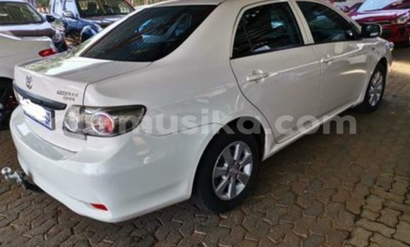Nunua Ilio tumika Toyota Corolla Nyeupe Gari ndani ya Beitbridge nchini Matabeleland Kusini Nunua Ilio tumika Toyota Corolla Nyeupe Gari ndani ya Beitbridge nchini Matabeleland Kusini