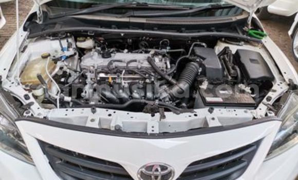 Nunua Ilio tumika Toyota Corolla Nyeupe Gari ndani ya Beitbridge nchini Matabeleland Kusini Nunua Ilio tumika Toyota Corolla Nyeupe Gari ndani ya Beitbridge nchini Matabeleland Kusini