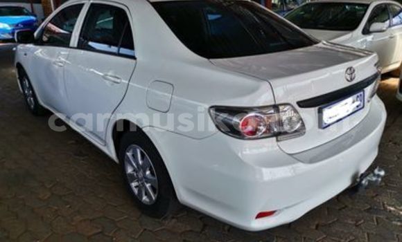 Nunua Ilio tumika Toyota Corolla Nyeupe Gari ndani ya Beitbridge nchini Matabeleland Kusini Nunua Ilio tumika Toyota Corolla Nyeupe Gari ndani ya Beitbridge nchini Matabeleland Kusini
