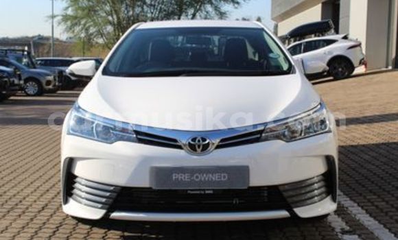 Buy Used Toyota Corolla White Car in Beitbridge in Matabeleland South