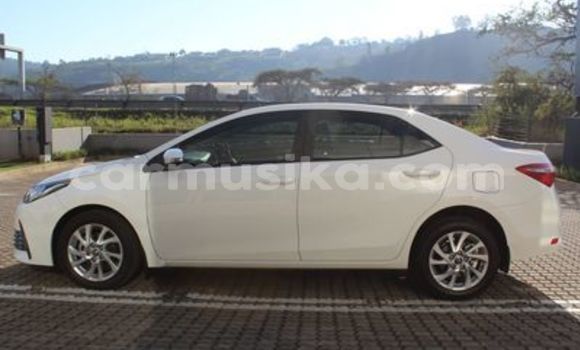 Acheter Occasion Voiture Toyota Corolla Blanc à Beitbridge, Matabeleland South Acheter Occasion Voiture Toyota Corolla Blanc à Beitbridge, Matabeleland South