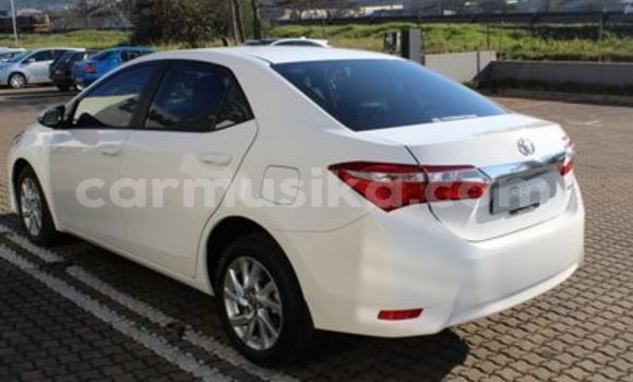 Acheter Occasion Voiture Toyota Corolla Blanc à Beitbridge, Matabeleland South Acheter Occasion Voiture Toyota Corolla Blanc à Beitbridge, Matabeleland South