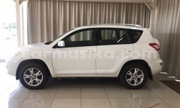 Tenga Tsaru Toyota RAV4 Chena Mota in Beitbridge in Matabeleland South Tenga Tsaru Toyota RAV4 Chena Mota in Beitbridge in Matabeleland South